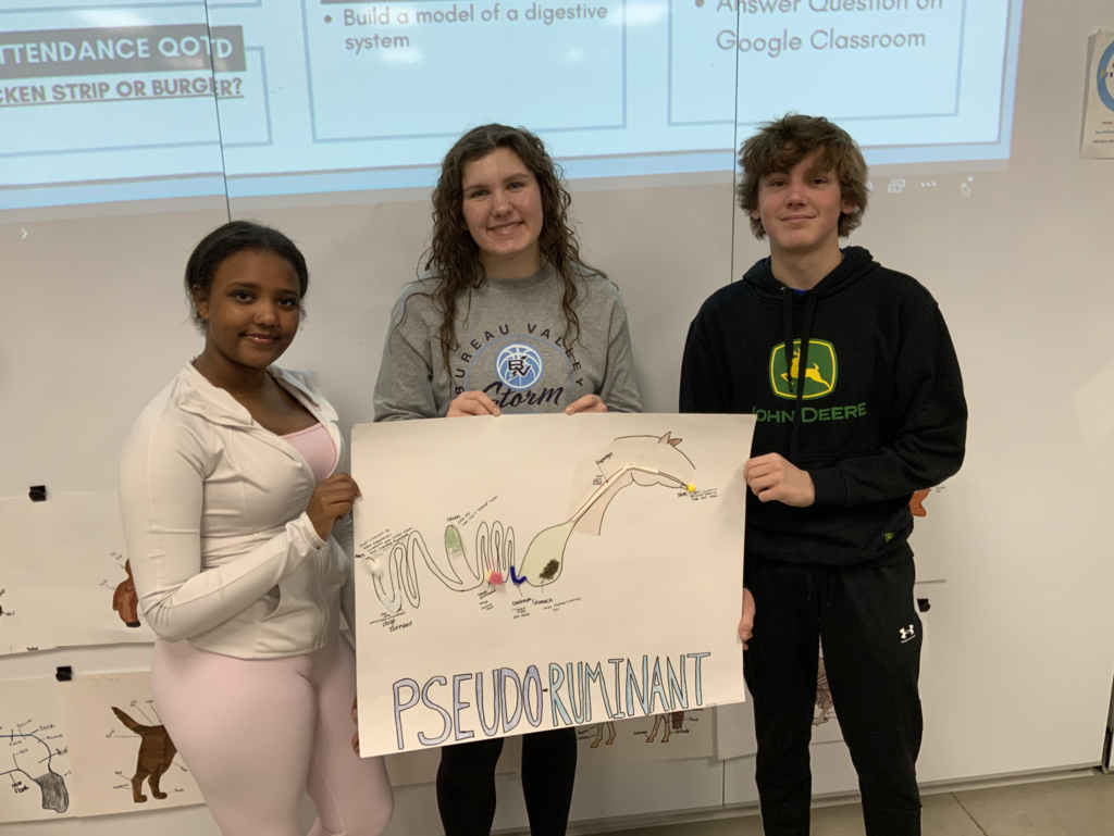 Students in Miss Merriman and Mrs. Shimmin’s Pre-Vet class have been learning about the four digestive systems found in animals: avian, ruminant, pseudo-ruminant, and monogastric. To deepen their understanding, students connected each system’s functions to common household items that serve a similar purpose.  Can you guess which digestive system humans have?