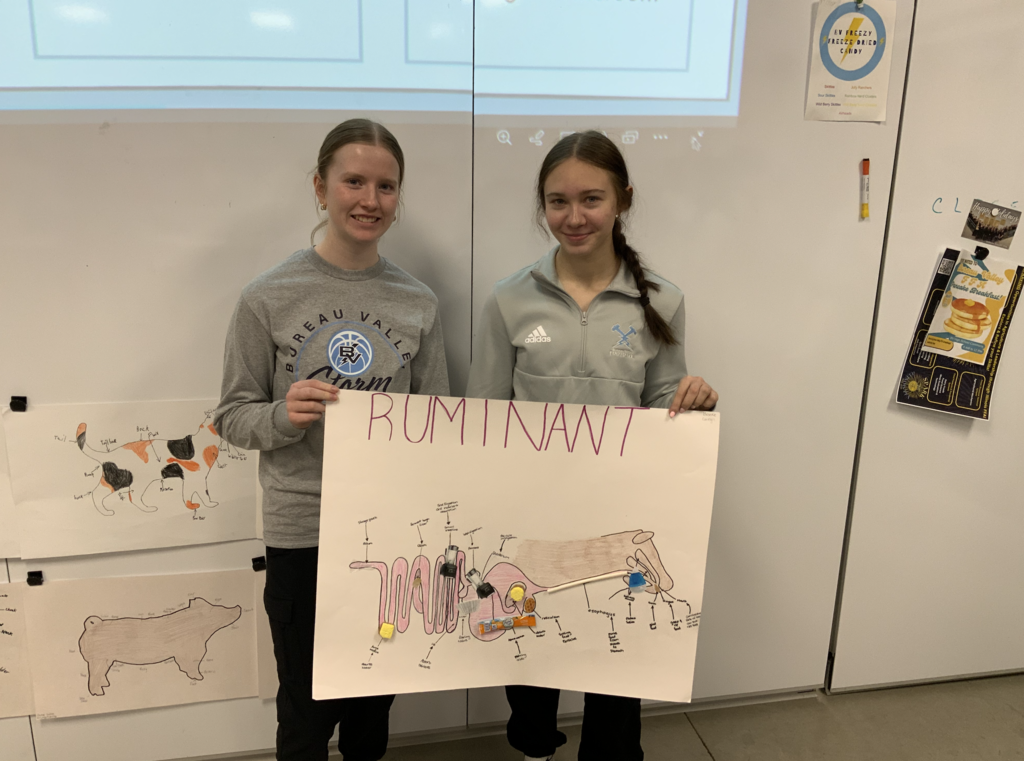 Students in Miss Merriman and Mrs. Shimmin’s Pre-Vet class have been learning about the four digestive systems found in animals: avian, ruminant, pseudo-ruminant, and monogastric. To deepen their understanding, students connected each system’s functions to common household items that serve a similar purpose.  Can you guess which digestive system humans have?