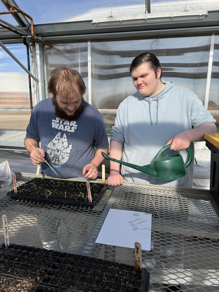 Keeping them watered.