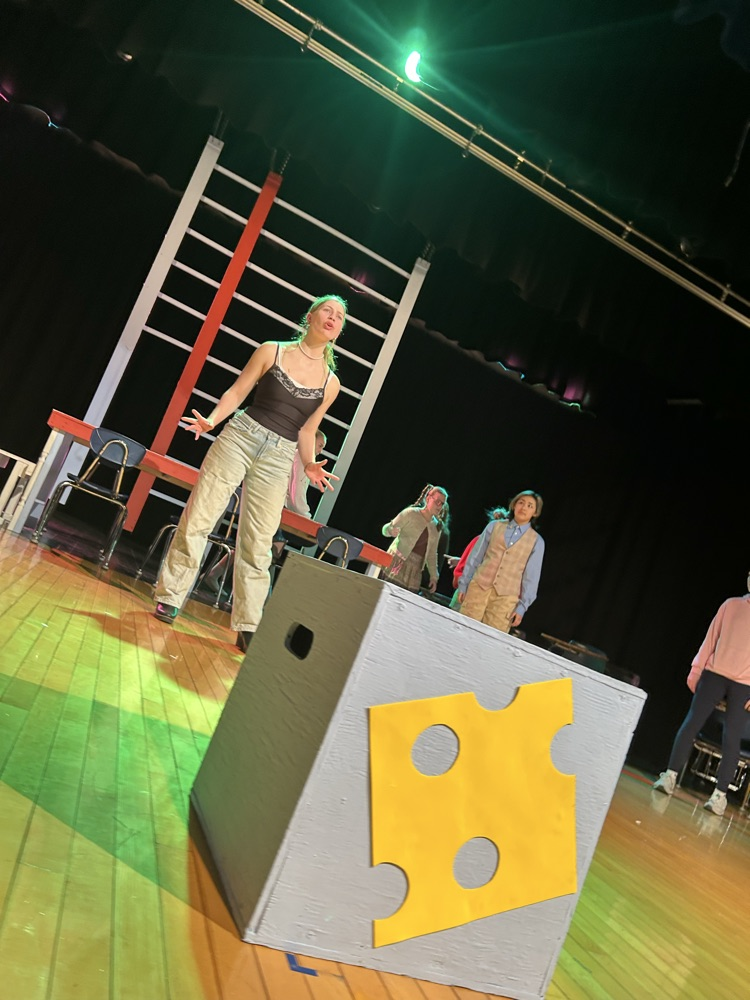 Diary of a Wimpy Kid Cast