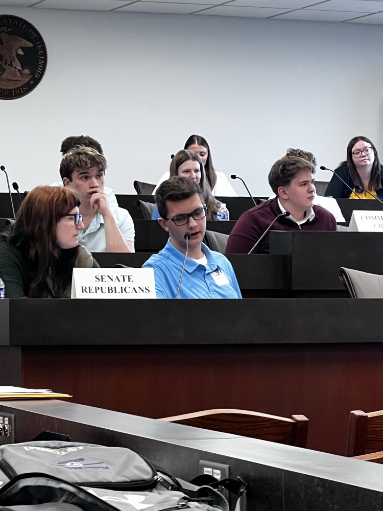 mock committee hearing