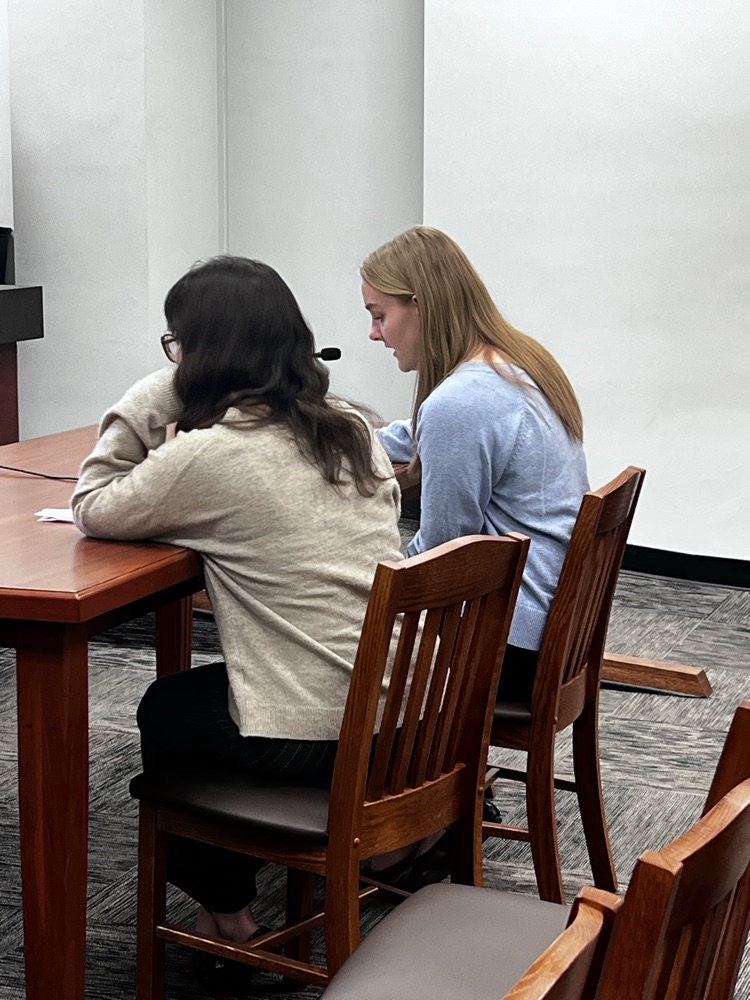 mock committee hearing