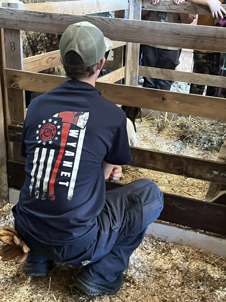 Today some of our FFA members helped with the fourth grade ag fair at the fairgrounds. They got to practice their public speaking skills when talking about different agricultural topics! 
