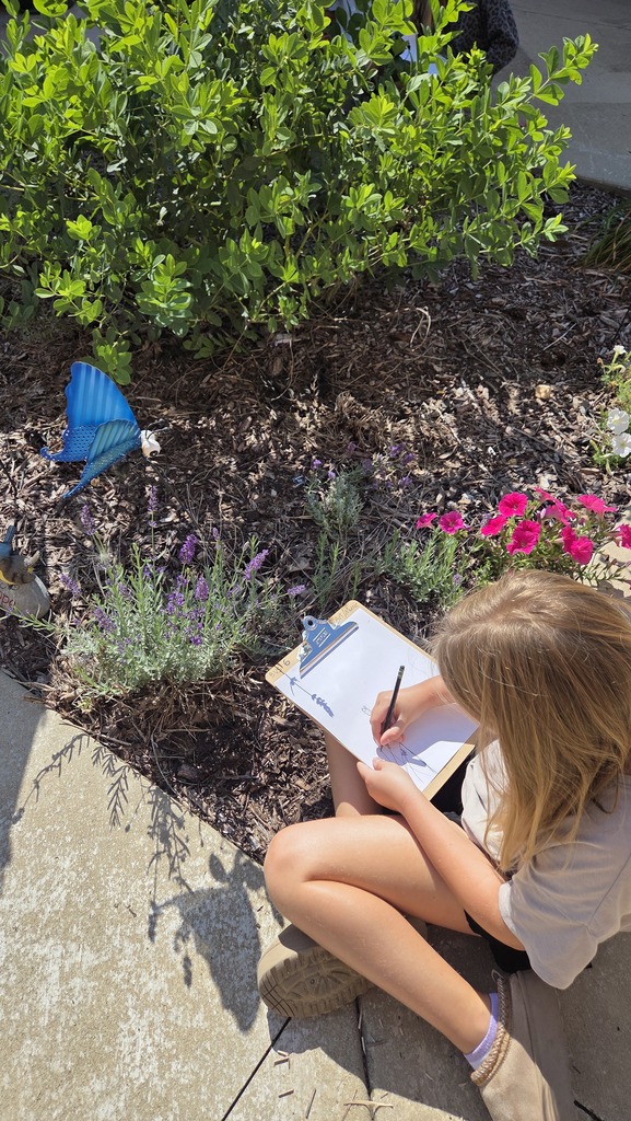 Student drawing a flower.