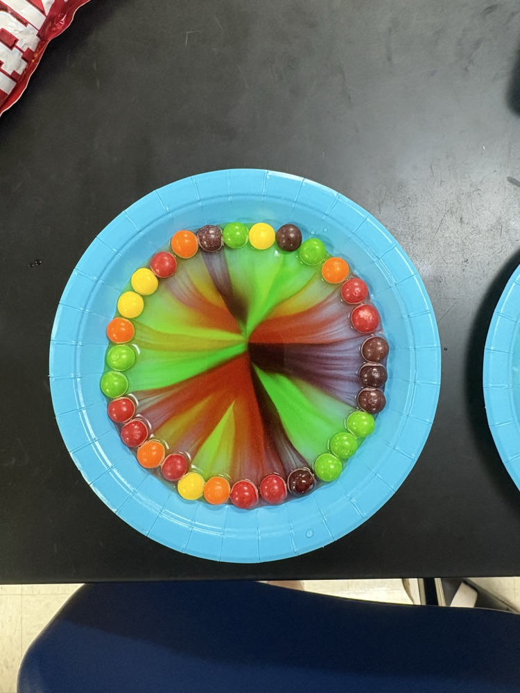 skittle dissolving lab