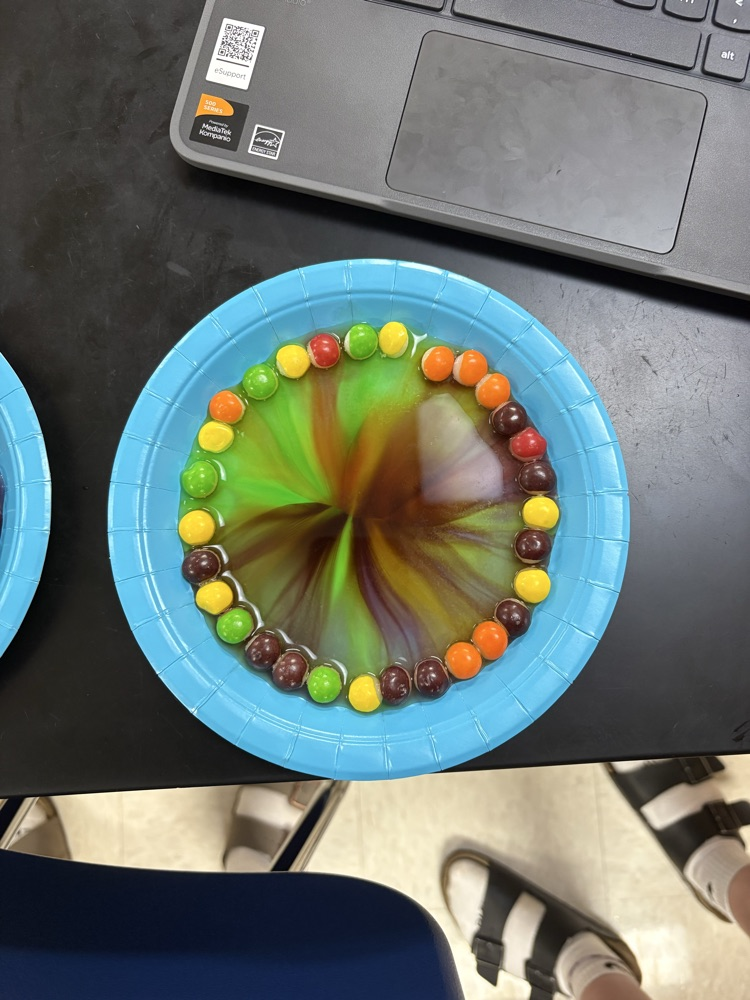 skittle dissolving lab