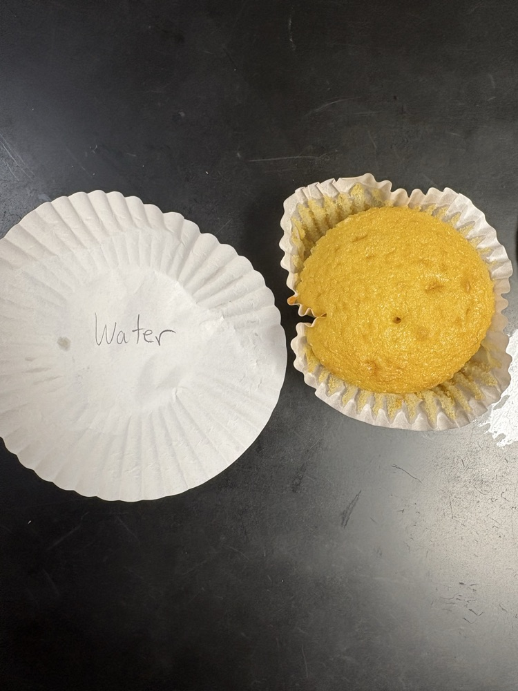 cupcake lab