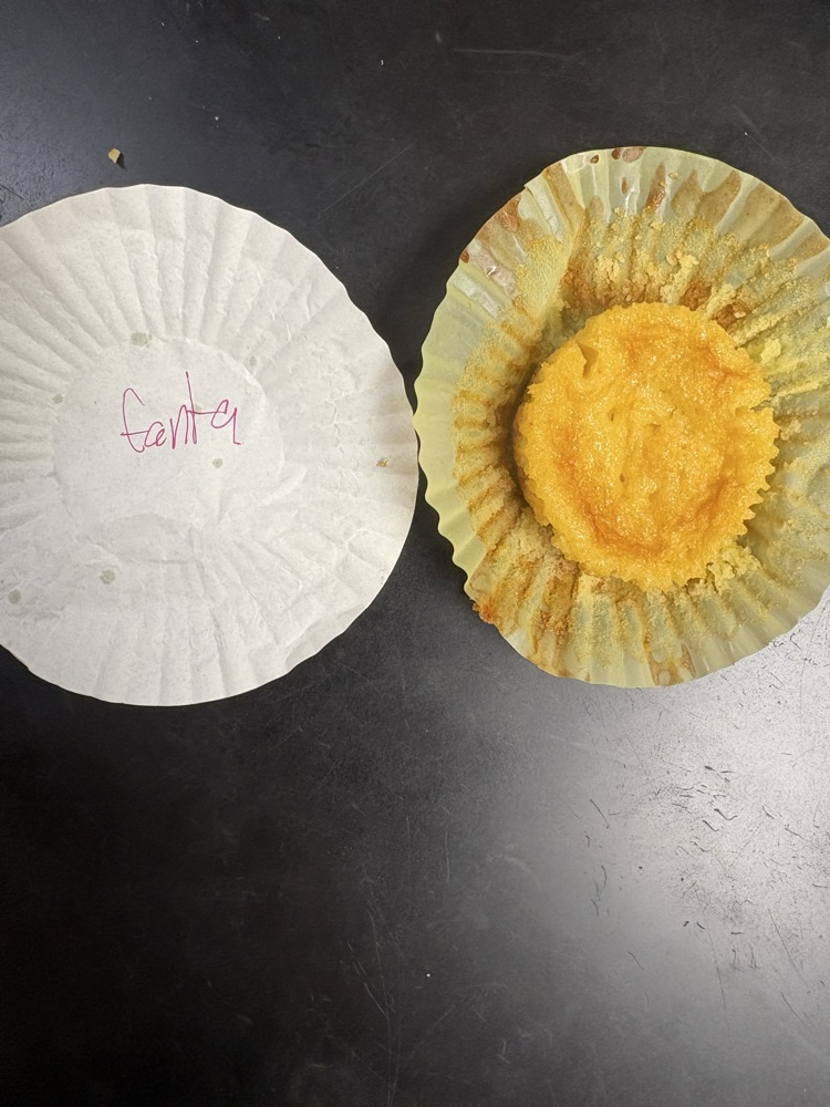 cupcake lab