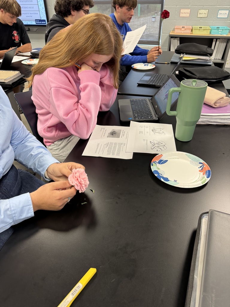 The Horticulture classes have been learning about plant anatomy and reproduction.  They got to learn hands-on this past week by dissecting flowers and cross-pollinating! 
