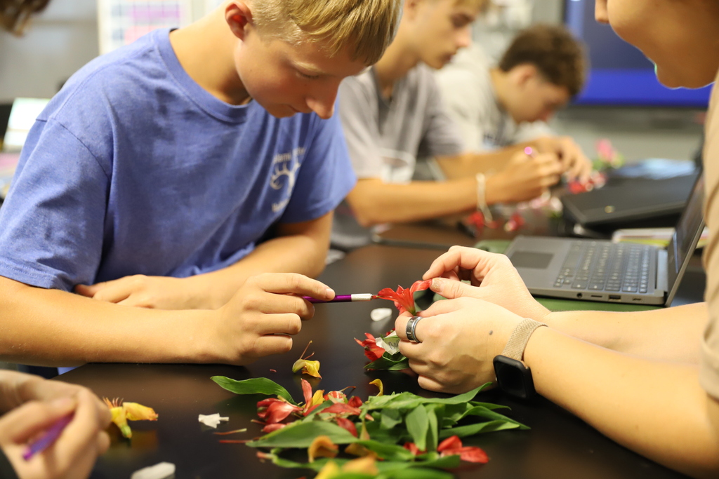 The Horticulture classes have been learning about plant anatomy and reproduction.  They got to learn hands-on this past week by dissecting flowers and cross-pollinating! 