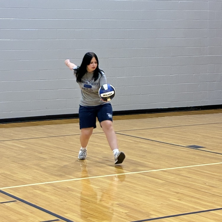 vb