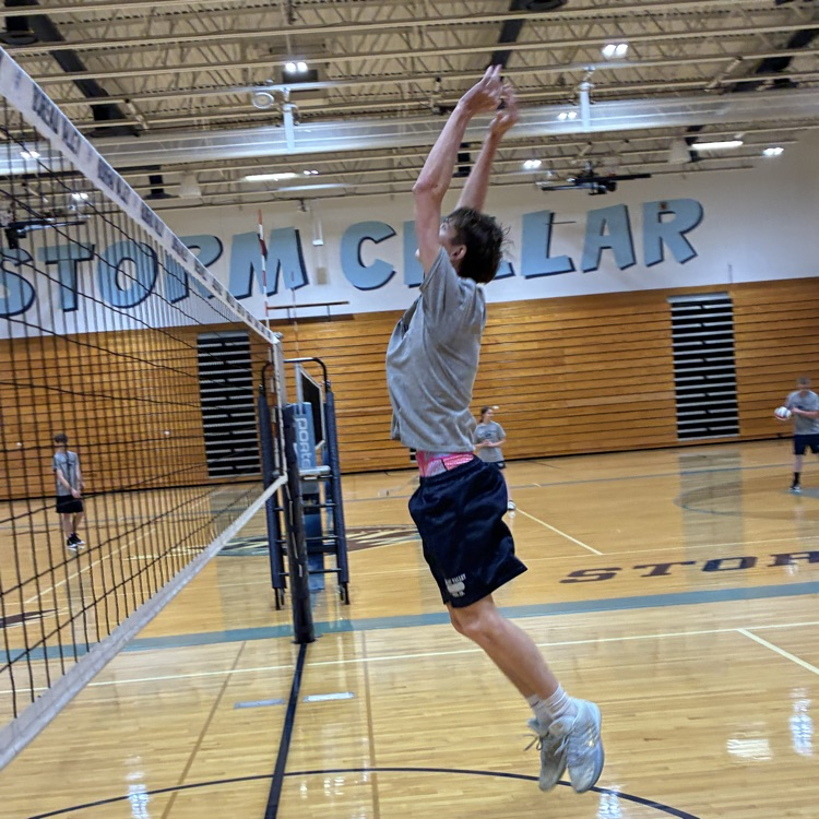 vb
