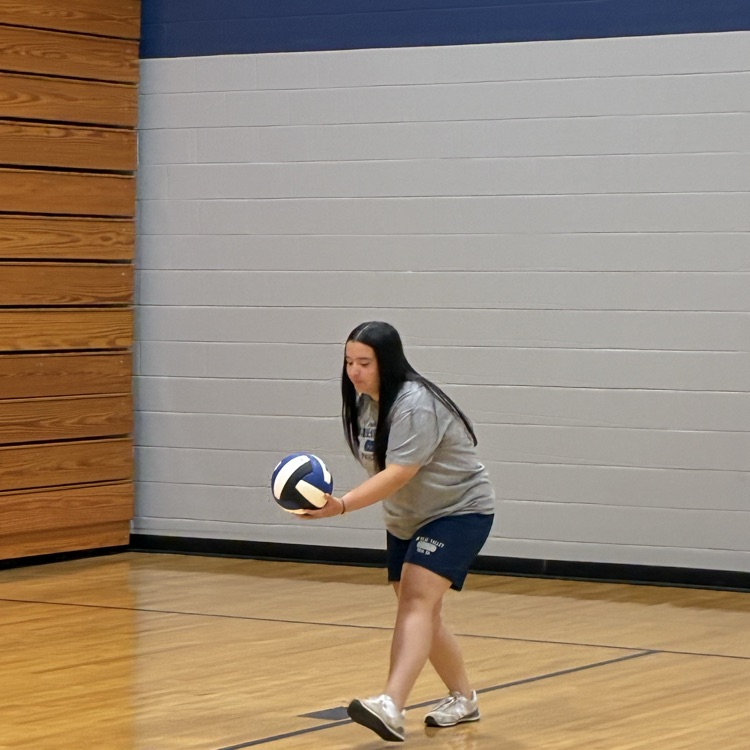 vb