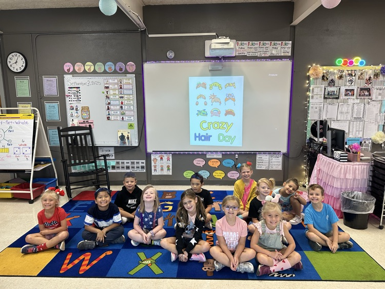 crazy hair day