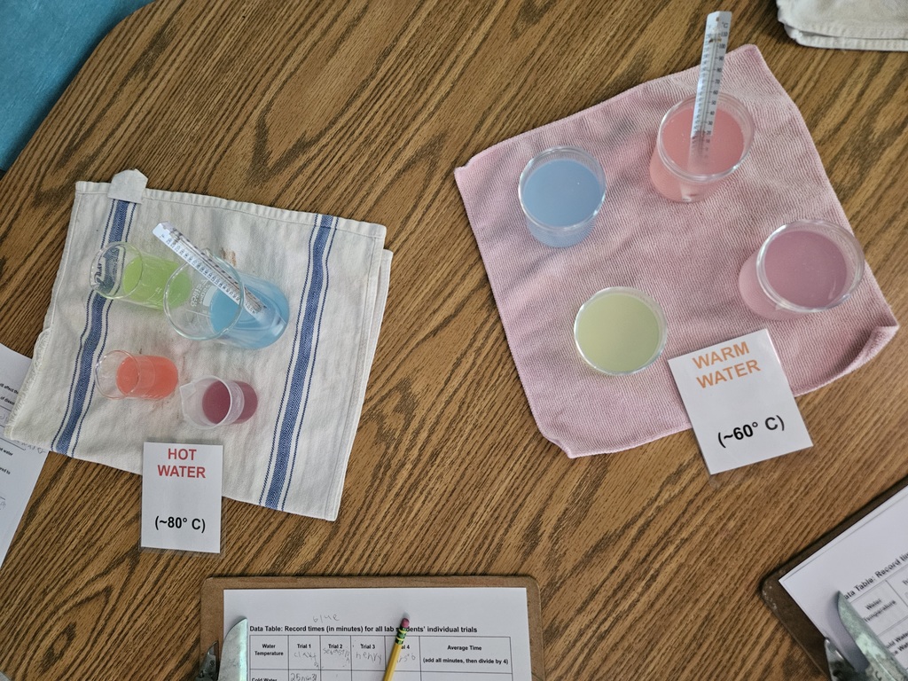 Students test the Rate of Dissolution by dissolving fruit flavored candy in various temperatures of water and charting the results