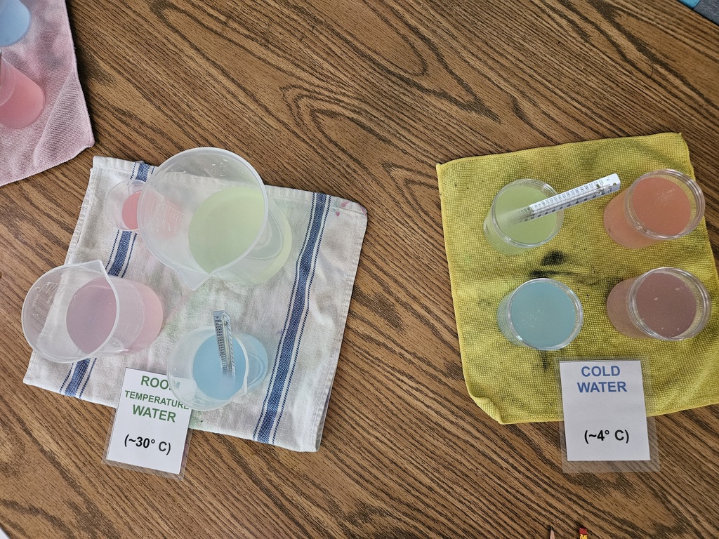 Students test the Rate of Dissolution by dissolving fruit flavored candy in various temperatures of water and charting the results