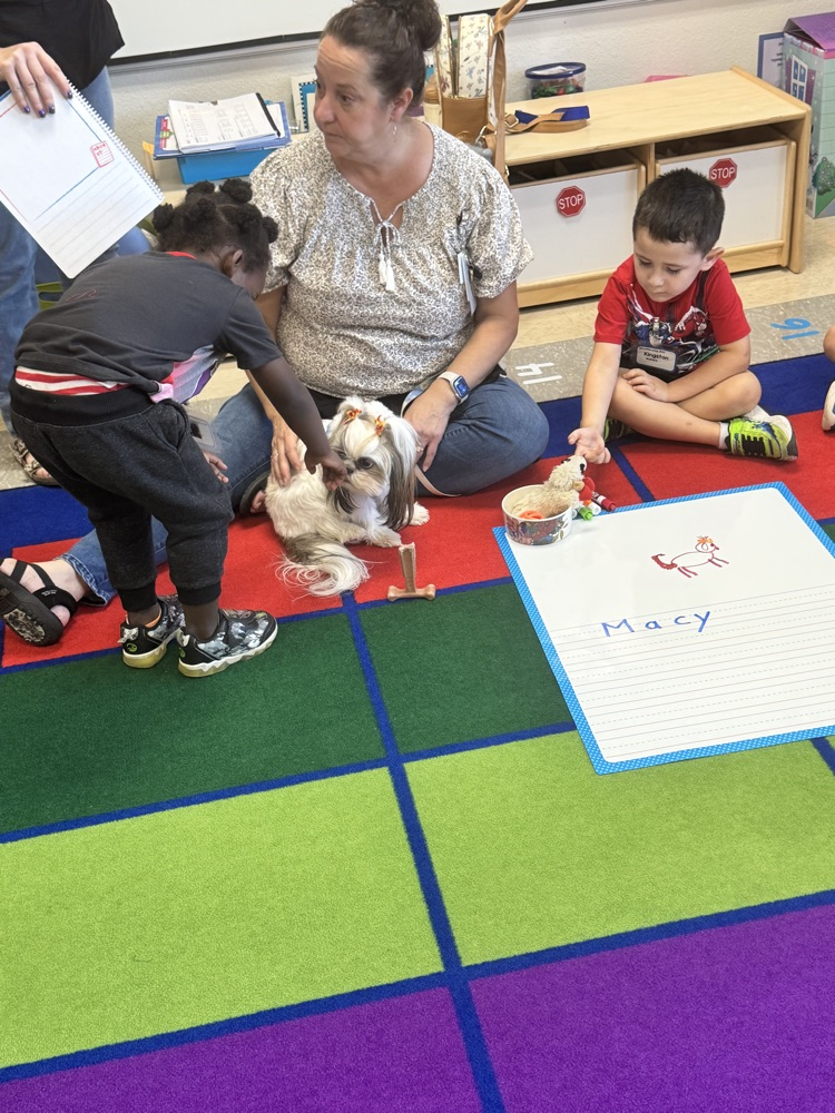Therapy dog visits Head Start 