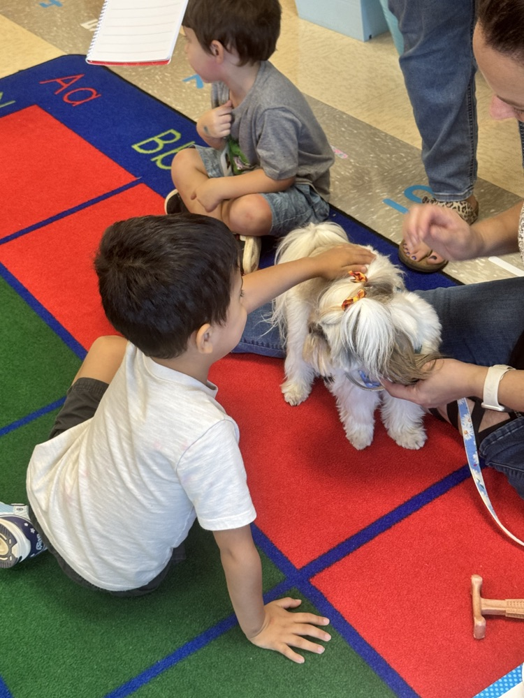 Therapy dog visits Head Start 