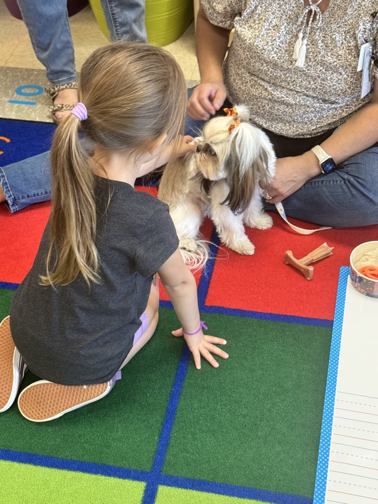 Therapy dog visits Head Start 