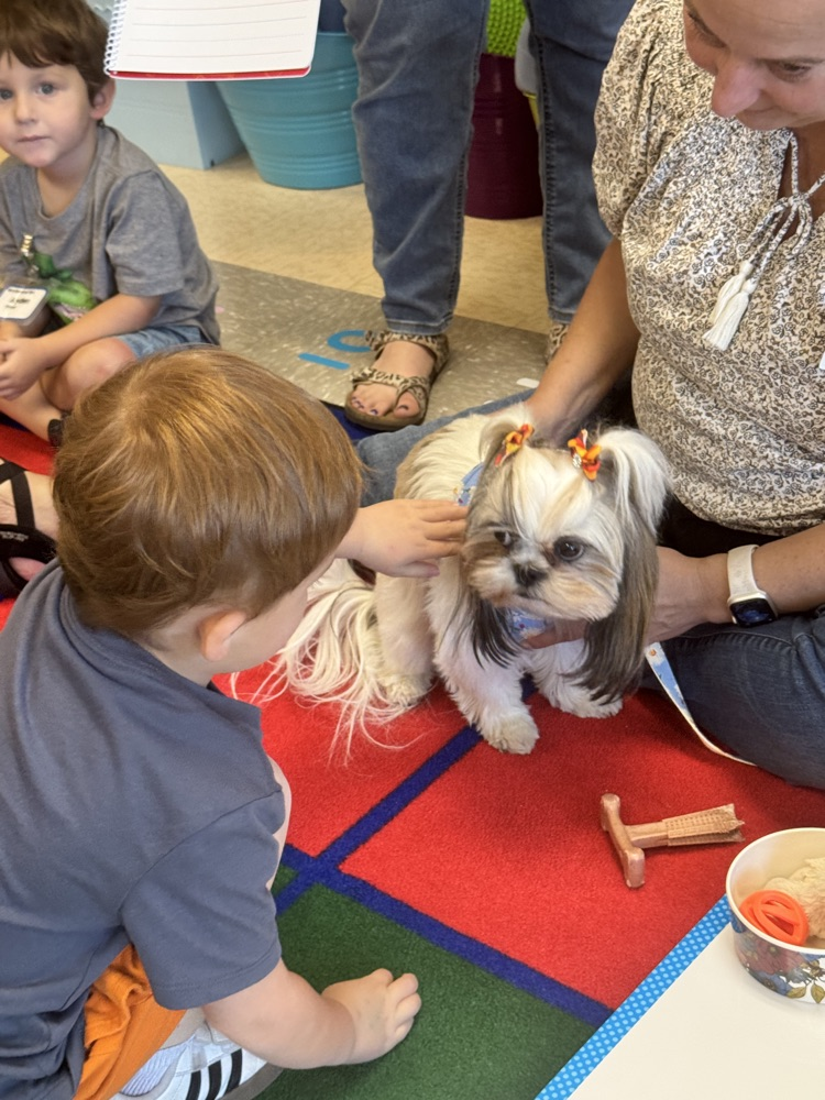 Therapy dog visits Head Start 