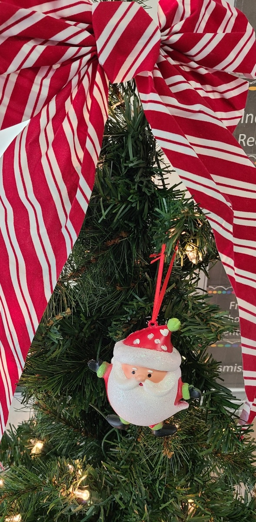 Mrs. Herring’s class