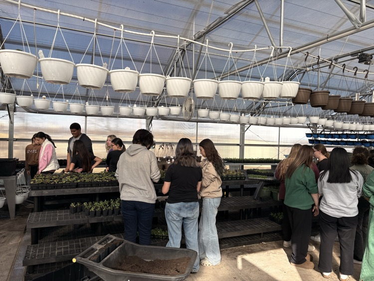 students planting plants