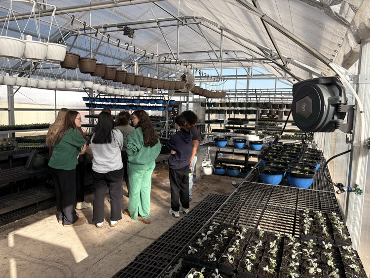 students planting plants