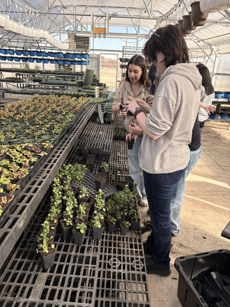 students planting plants