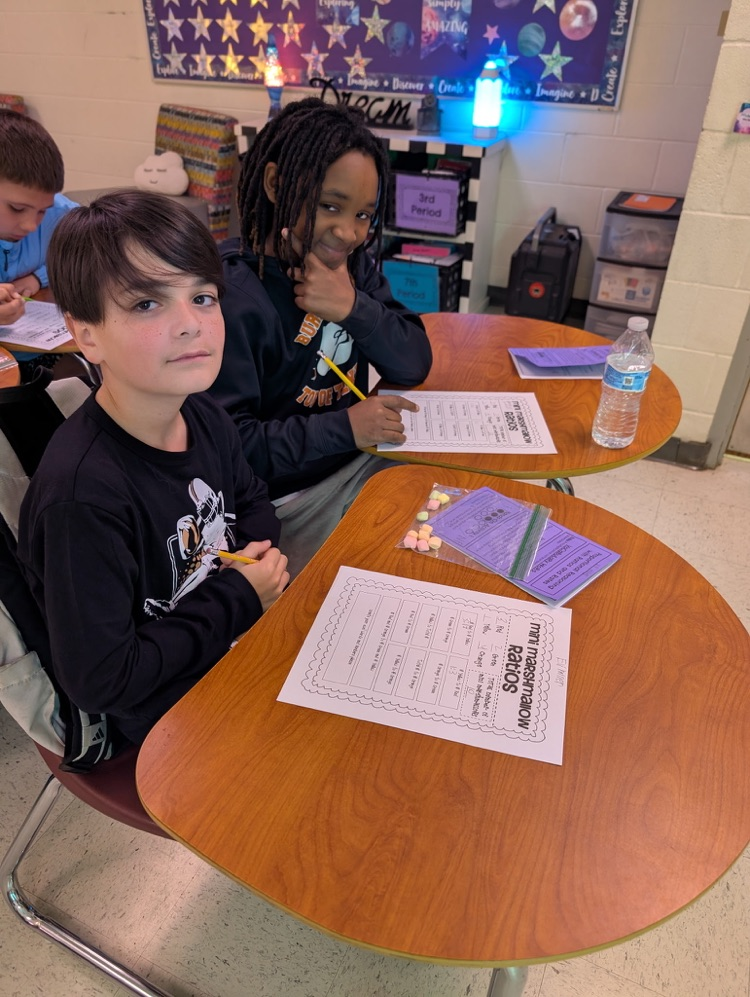 math students completing ratio activity 