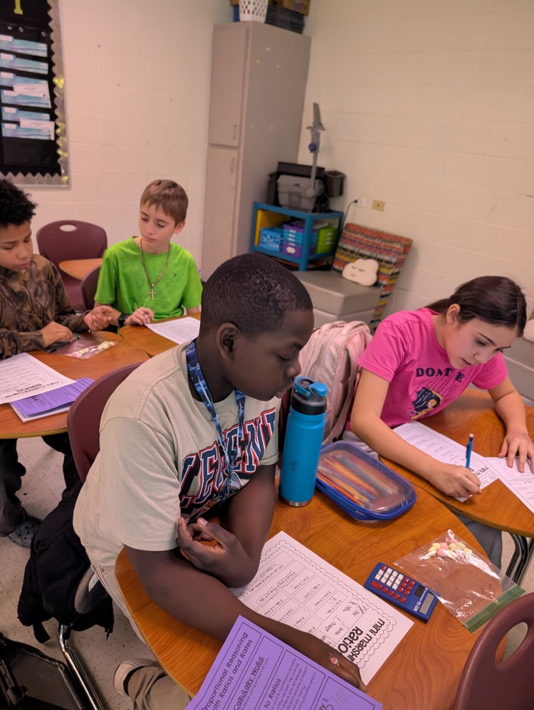 math students completing ratio activity 