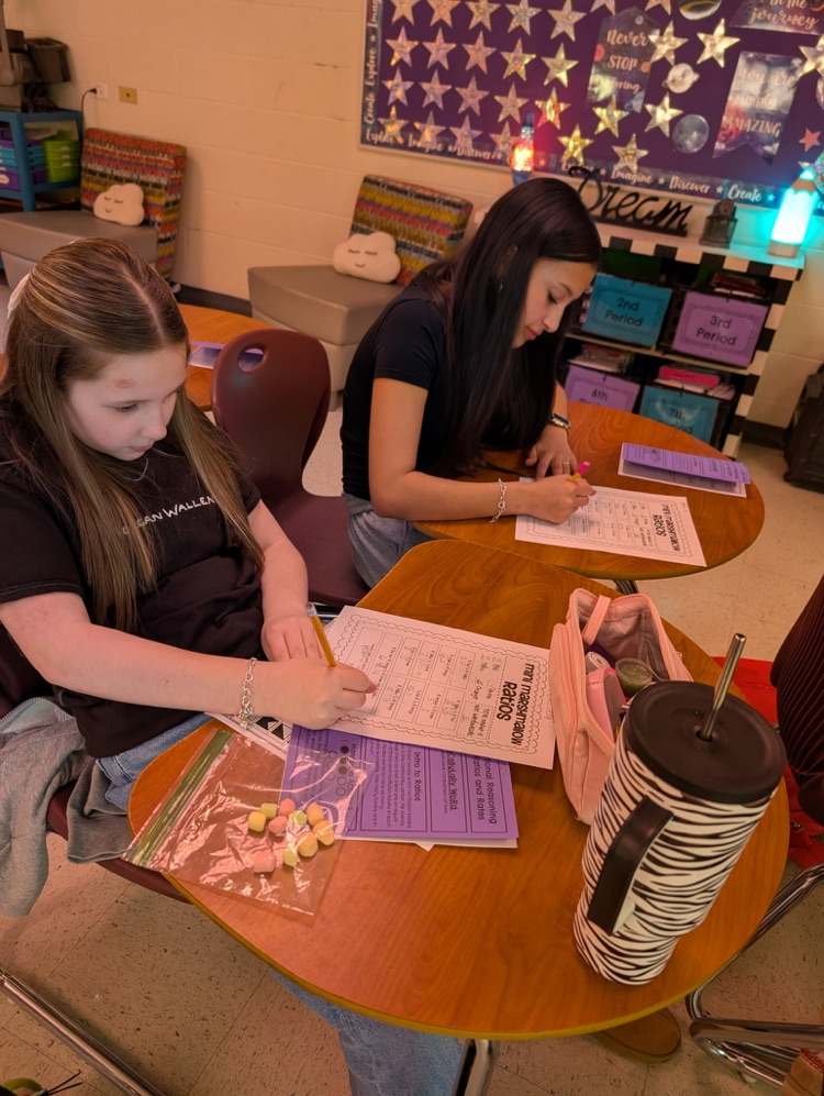 math students completing ratio activity 