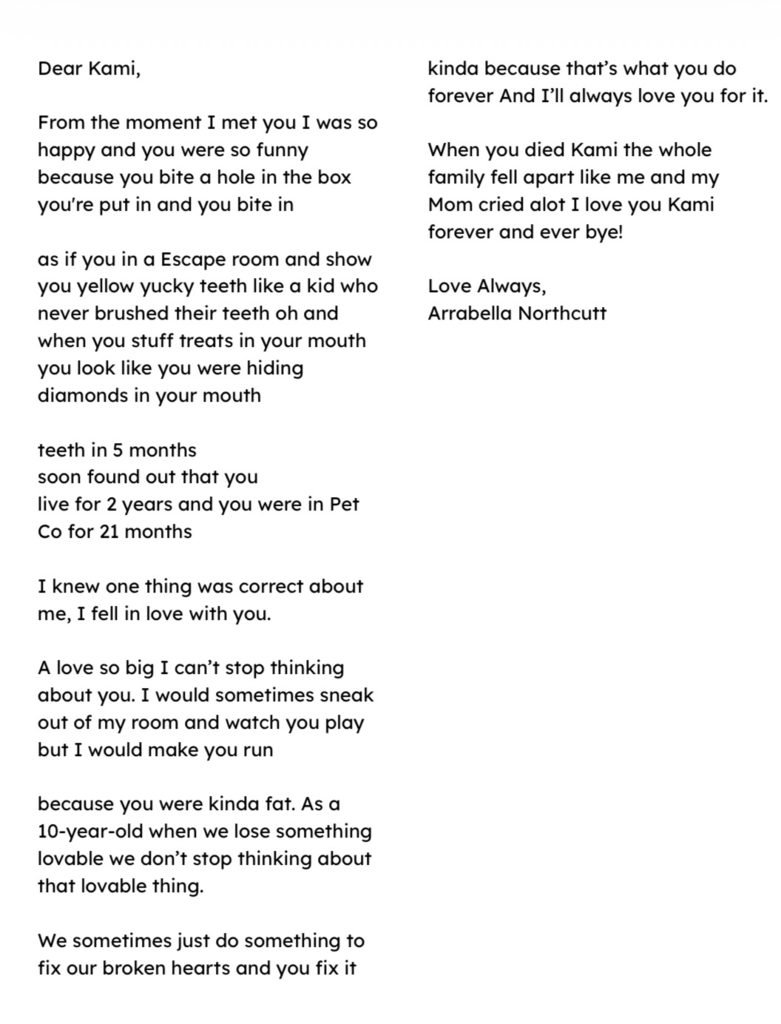 Poem about a hamster written by 4th grade student