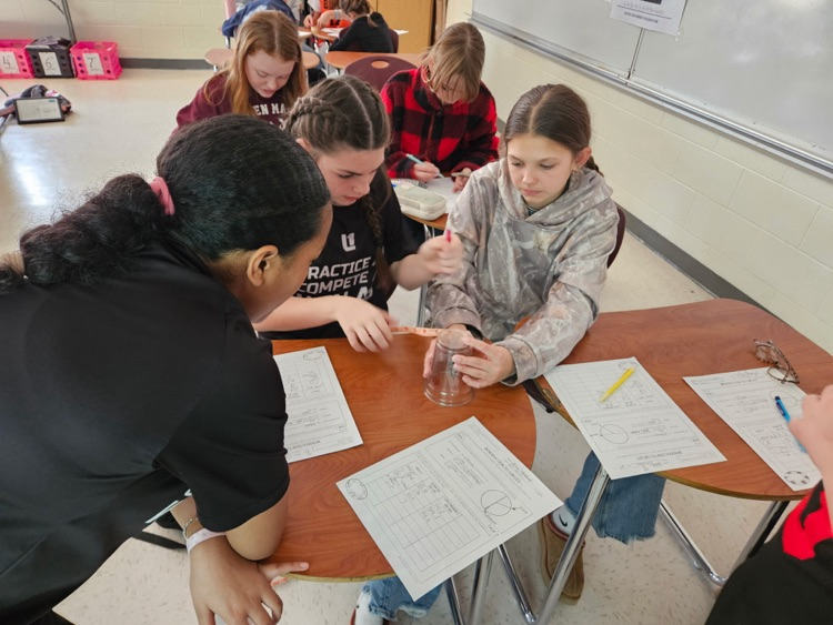 math students measuring circles