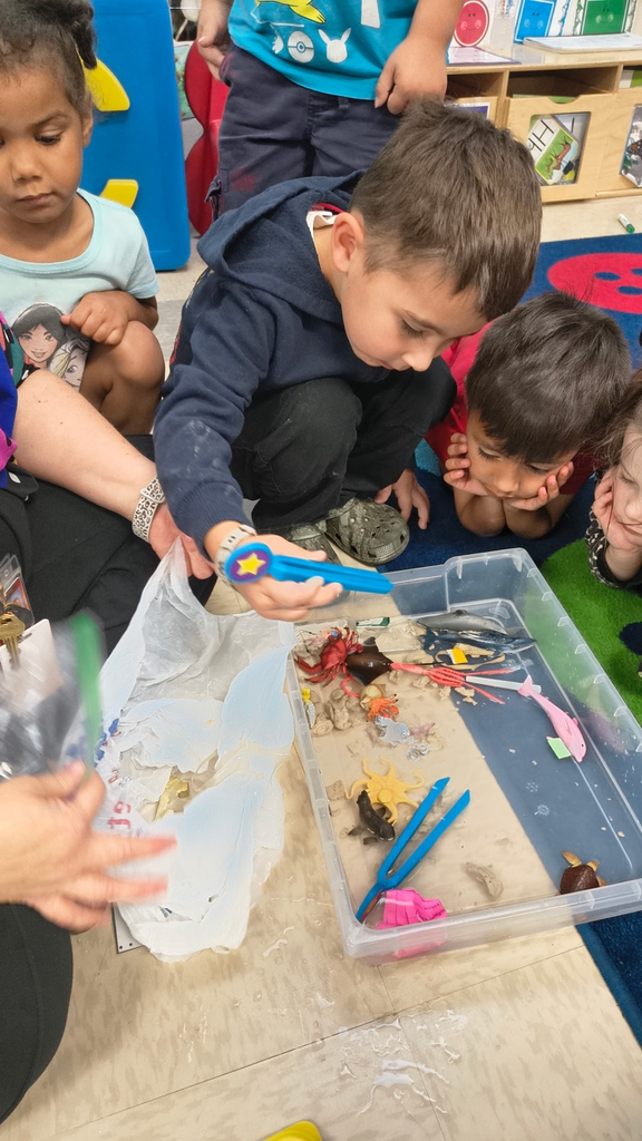 We are learning about the ocean and how littering isn't safe for our ocean friends :) they picked trash out to help our animals stay safe. 