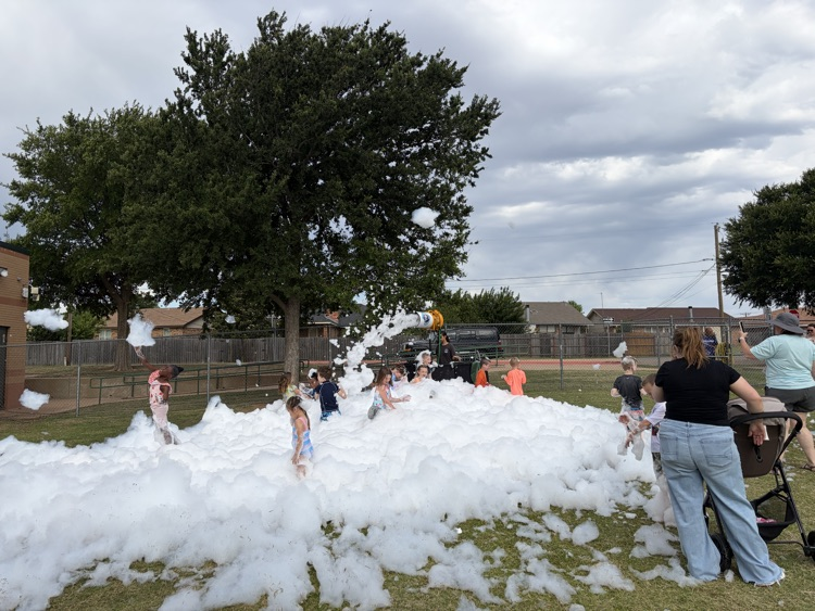 foamy Flakes