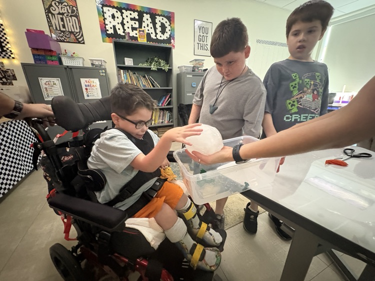 This week, Ms. Stewart's class has been learning about the three states of matter: solids, liquids, and gases. We wrapped up our learning with a hands-on balloon experiment that allowed students to see and experience these concepts in action.