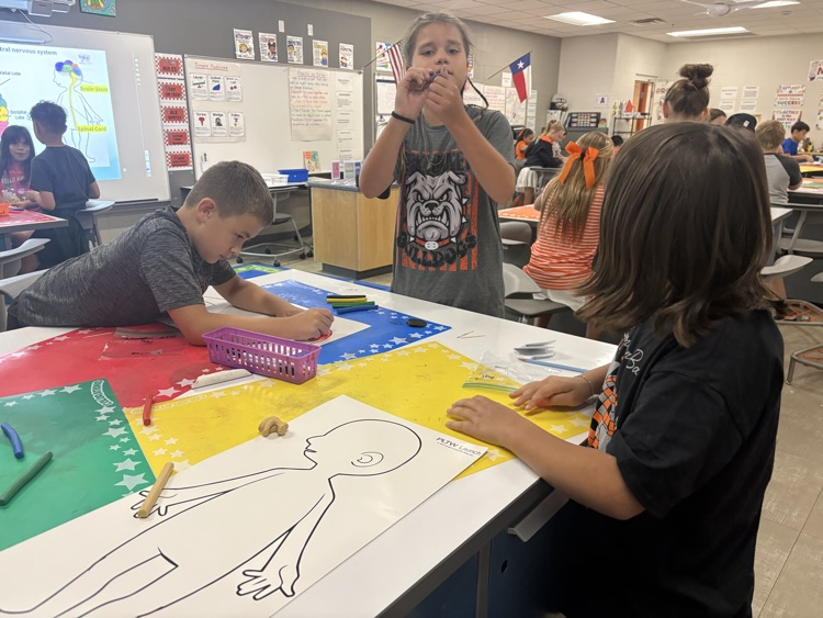 The 4th grade students in PLTW are creating a model of the brain as we learn about our central nervous system.