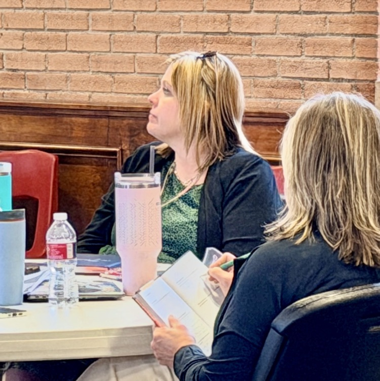 BISD professional development 