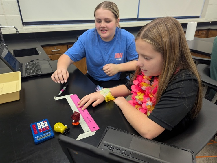 students completing science lab