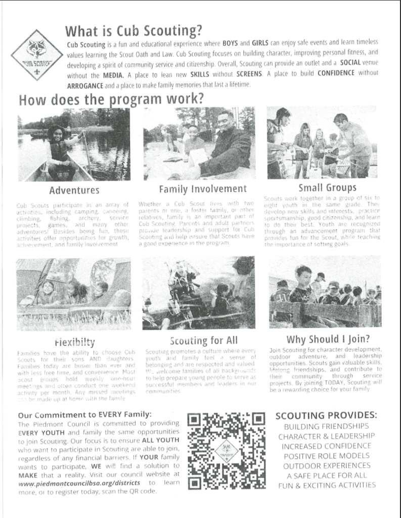 Cub Scout Flyer