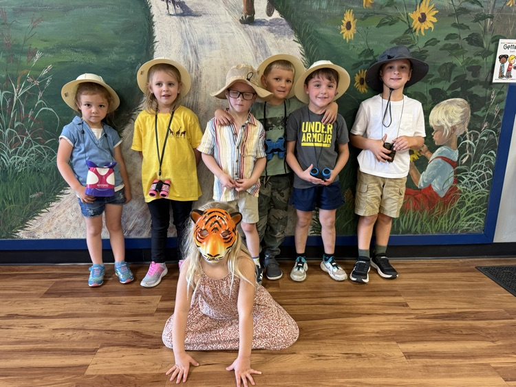 safari