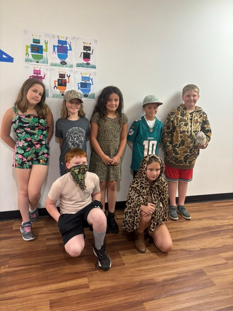 safari