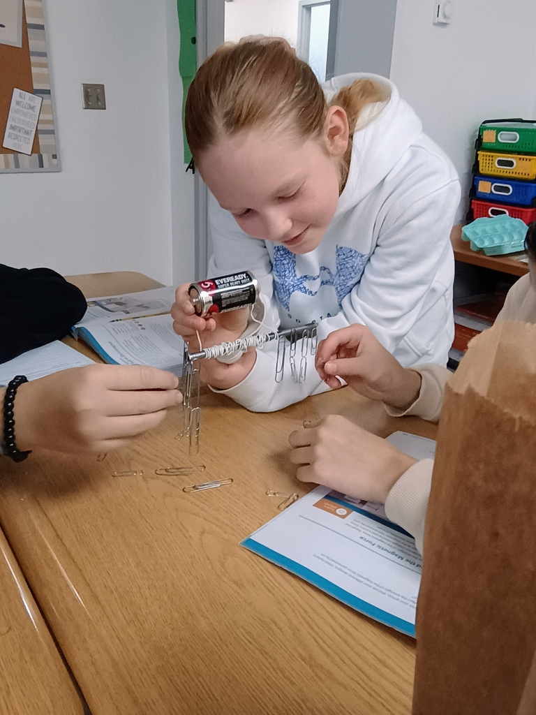 6th grade Science, hands-on lab.