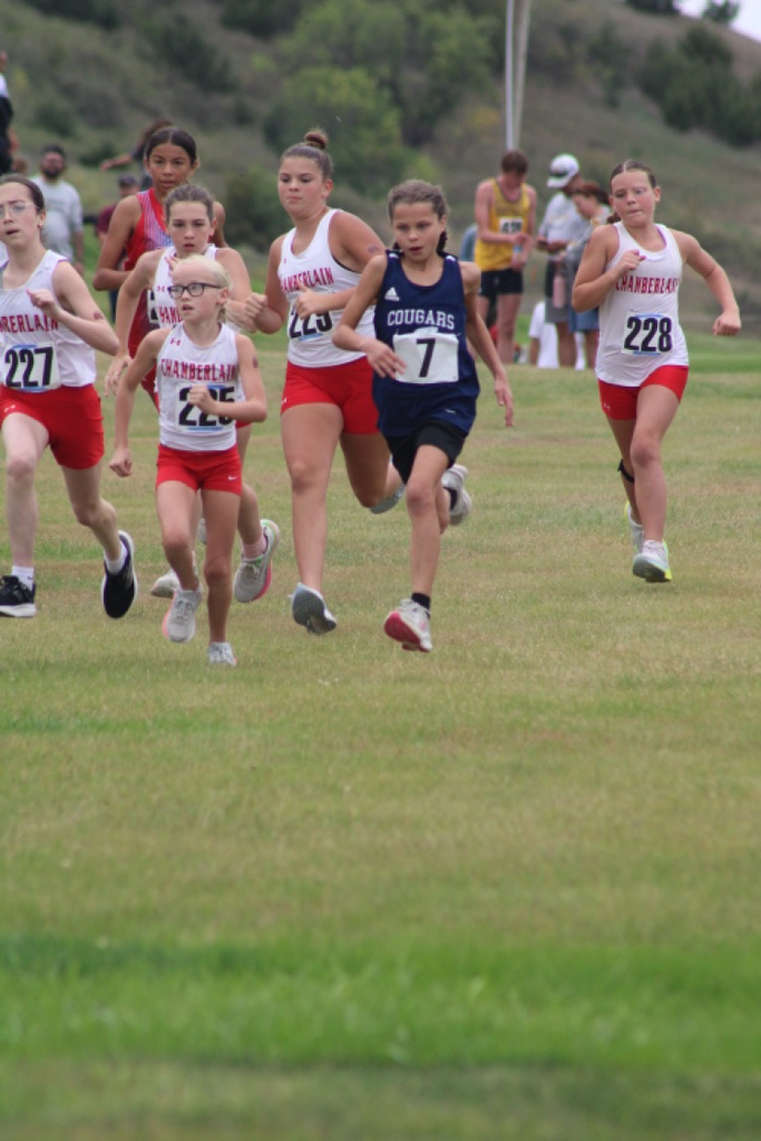 xc