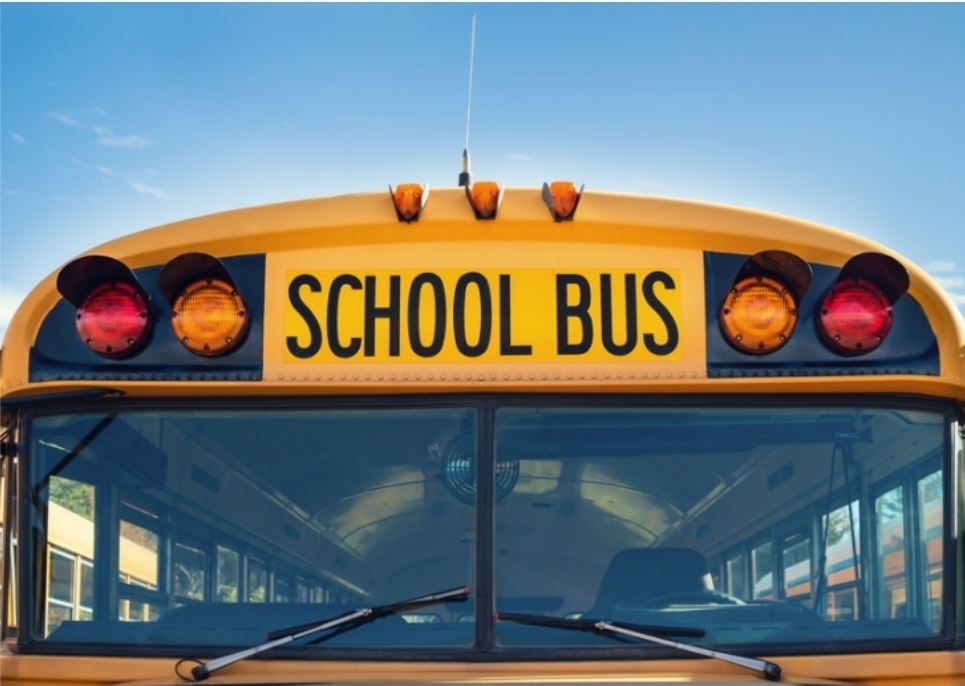 bus