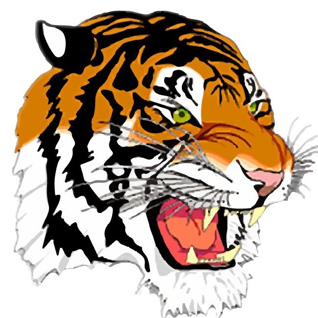 Burlington Edison High School Logo