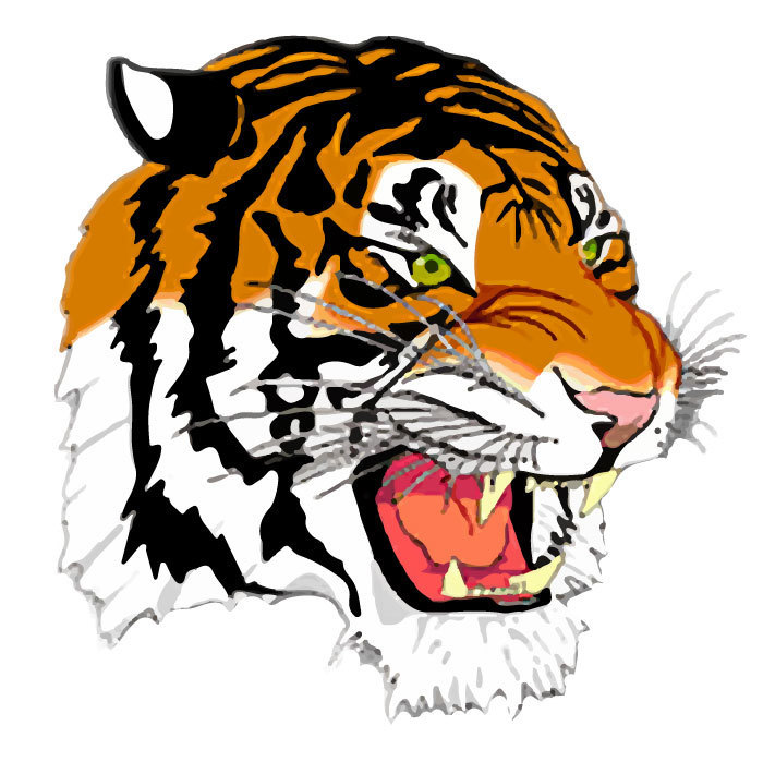 Burlington Edison High School Logo