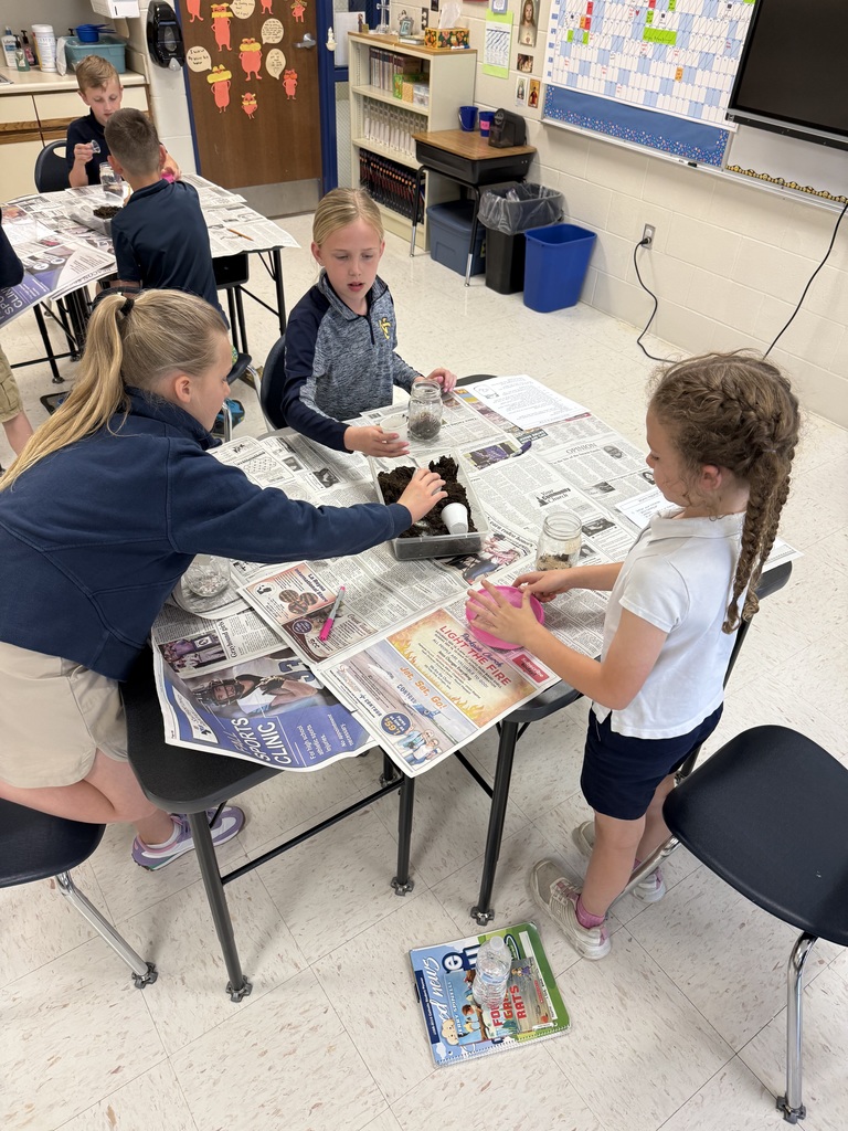 Making worm habitats