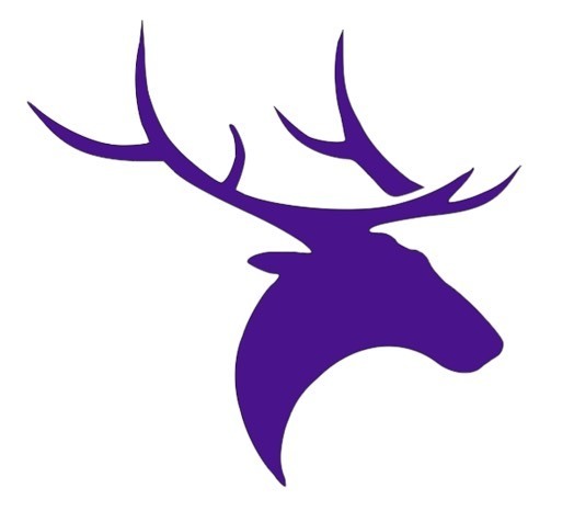 elk