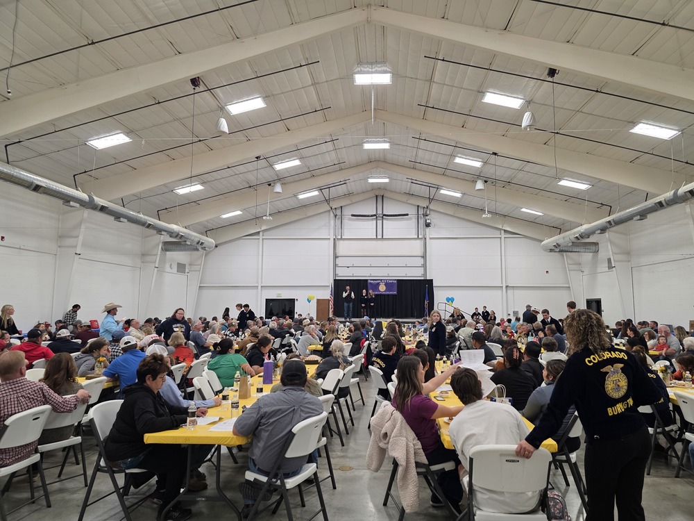 Burlington FFA Labor and Silent Auction 2025